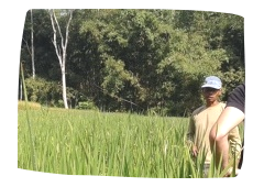Pierre Arruat, en Indonésie pour appuyer une « mini-révolution » au niveau des villages paysans