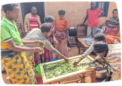 AMAKARA: valoriser les déchets d'une communauté rwandaise en énergie !