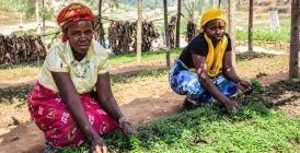 A Huyé : les jeunes poussent pour la transition !
