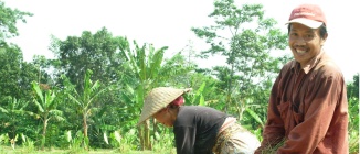 L'agroécologie, un nouvel horizon pour les paysans indonésiens