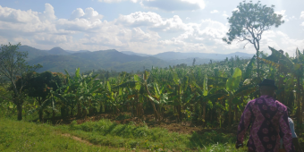 [Témoignage Pépin] Antoine : "C'est quelque chose qui vient de soi"