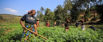 Hissez haut KIBEHO !