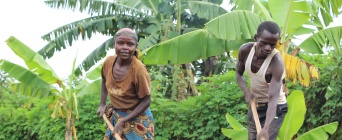 La forêt comestible : une voie vers l'autosuffisance alimentaire